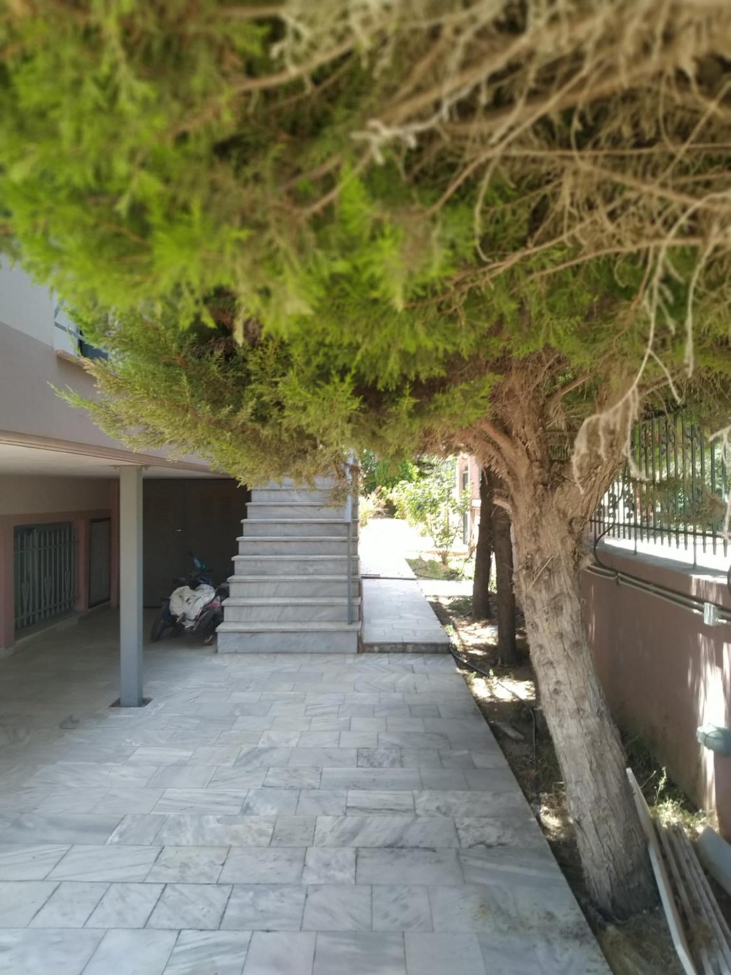 Cozy House Near The * Artemida (Attica)