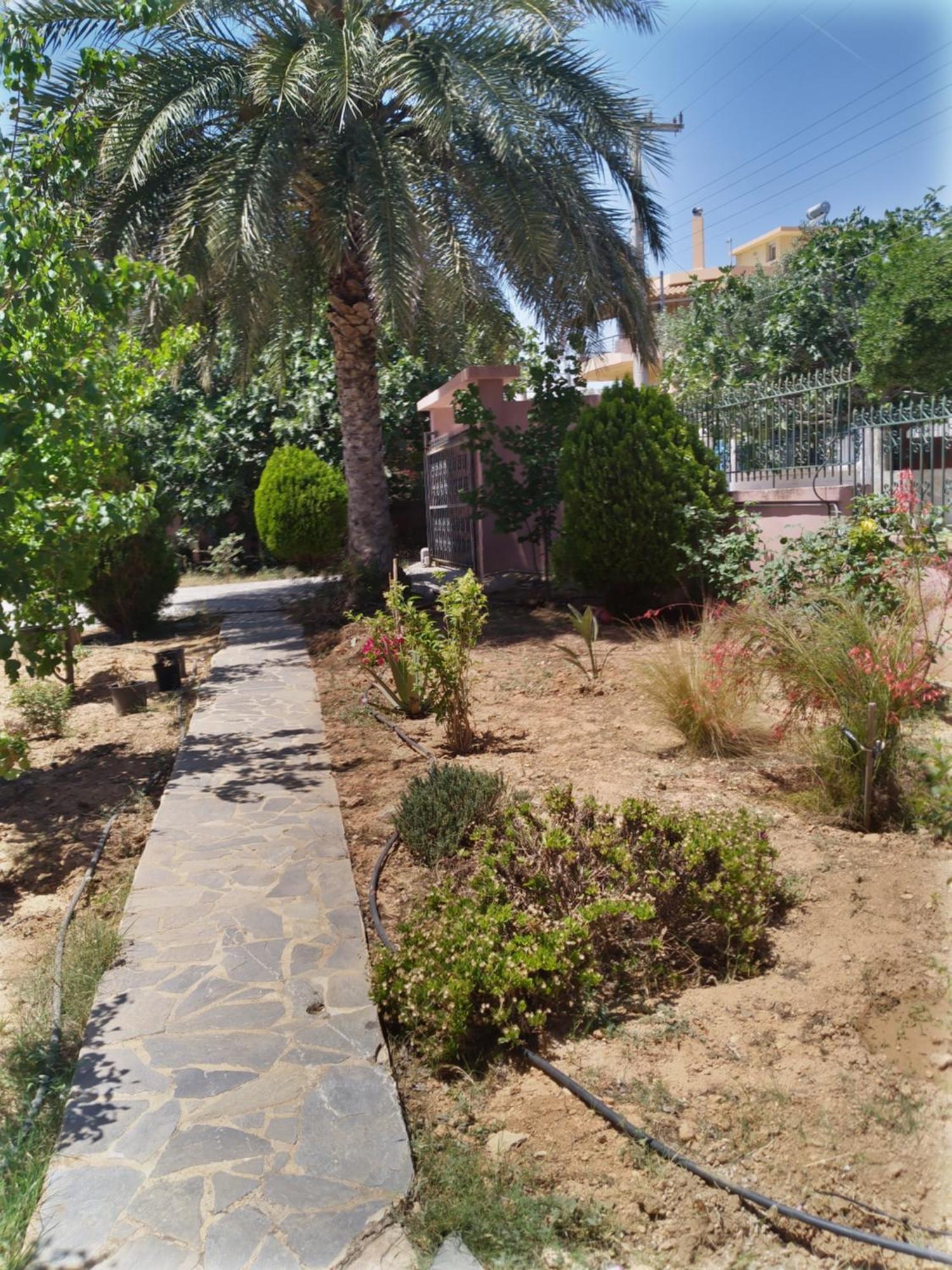 Cozy House Near The Artemida (Attica)